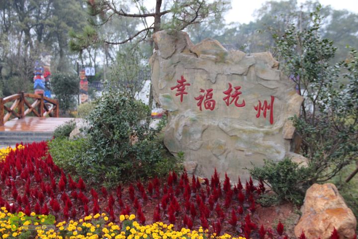宜春花博园赏花IMG_1018
