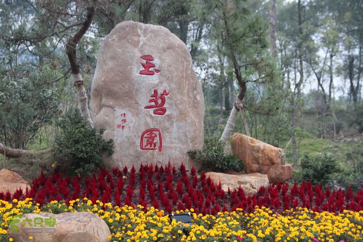 宜春花博园赏花IMG_1019