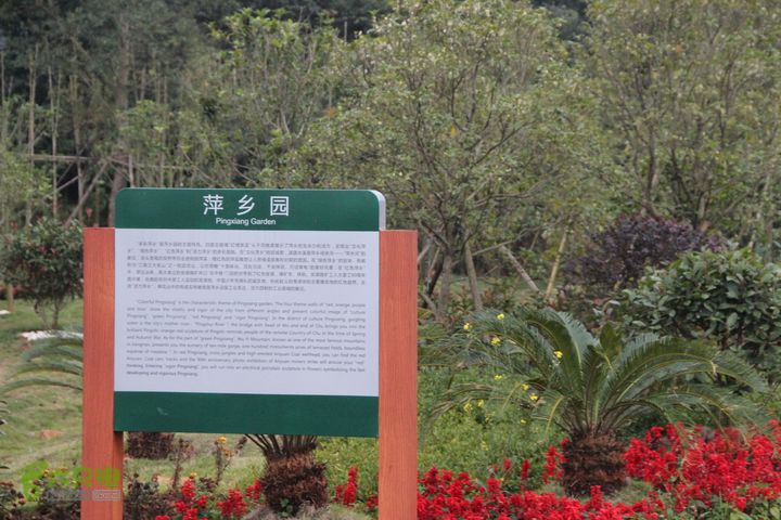 宜春花博园赏花IMG_1021
