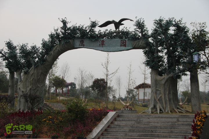 宜春花博园赏花IMG_1022