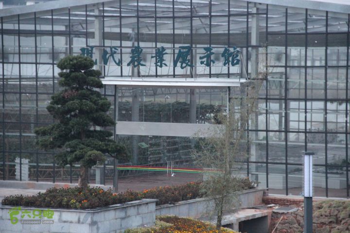 宜春花博园赏花IMG_1035