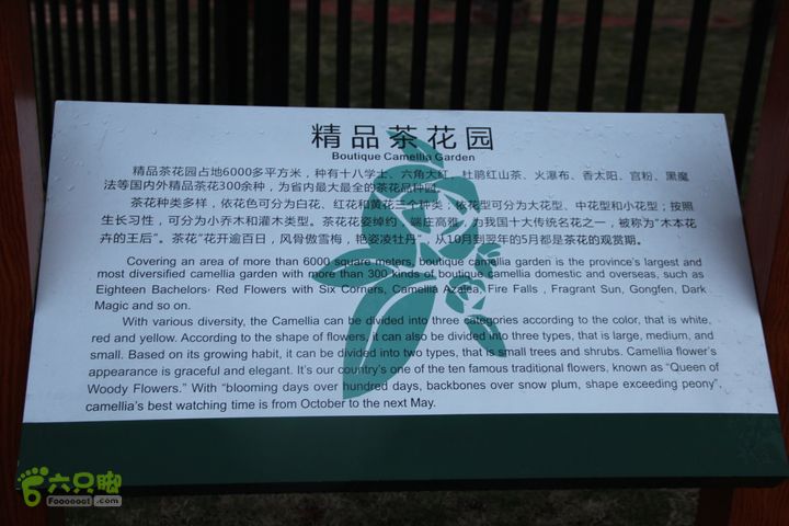 宜春花博园赏花IMG_1036