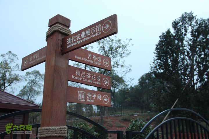 宜春花博园赏花IMG_1037