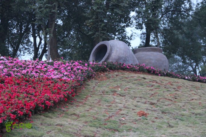 宜春花博园赏花IMG_1038