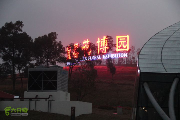 宜春花博园赏花IMG_1041