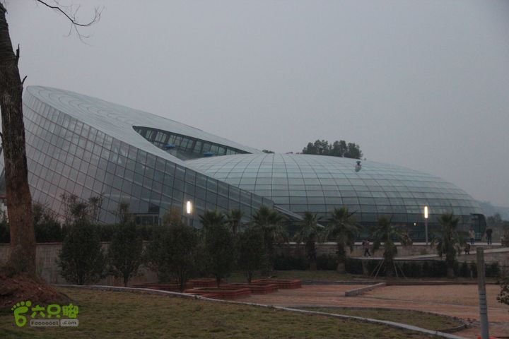 宜春花博园赏花IMG_1042