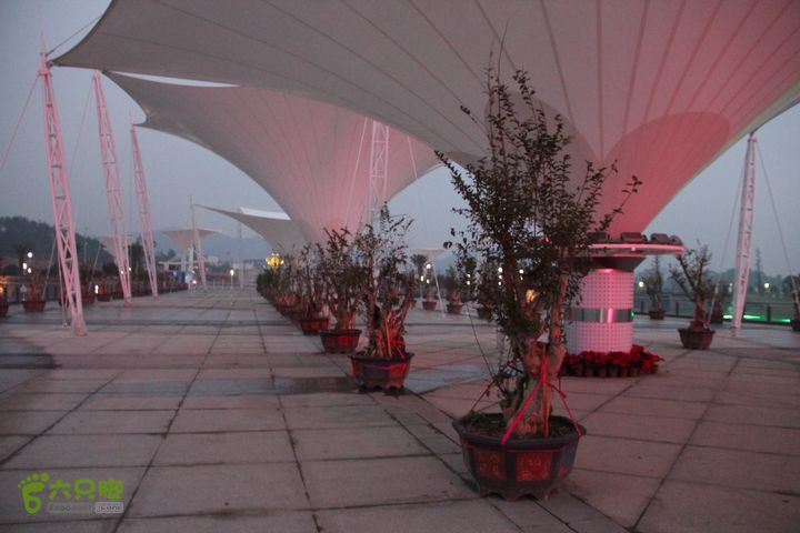 宜春花博园赏花IMG_1047