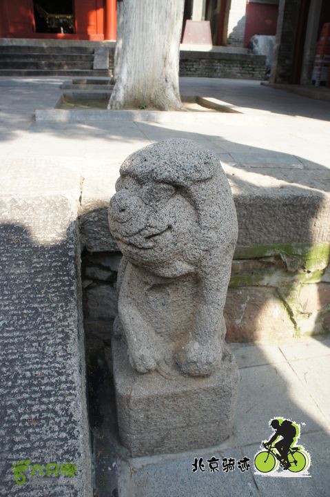 北京骑迹50 寻元代番字石刻  访北京水源地密云水库石狮