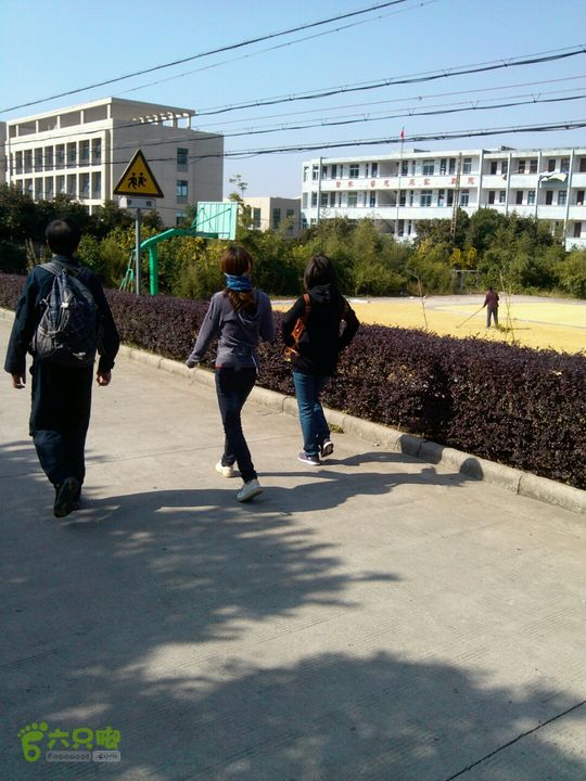 洞岙高峰_大展大展中学