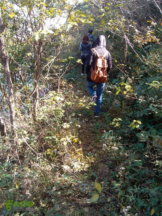 洞岙高峰_大展IMG_20121113_101345_副本