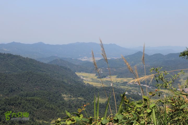 【武功山上】明月上坛下-楼仔岭-田心穿越  IMG_0710