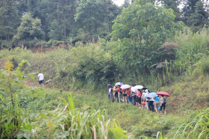 洞穴探秘者的天堂-宜春丰顶山溶洞区IMG_0190