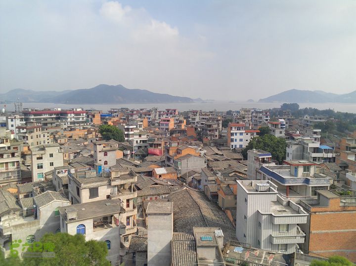 壶江岛边吹海风，棋盘山上寻仙迹IMAG3918