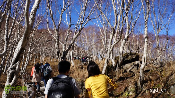 长白山天池(北坡)DSC04611