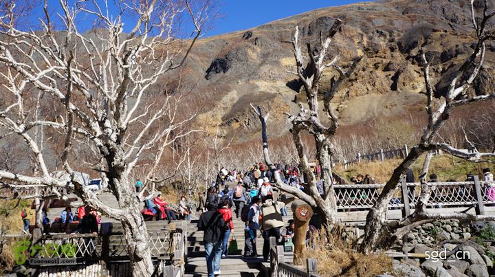 长白山天池(北坡)DSC04618