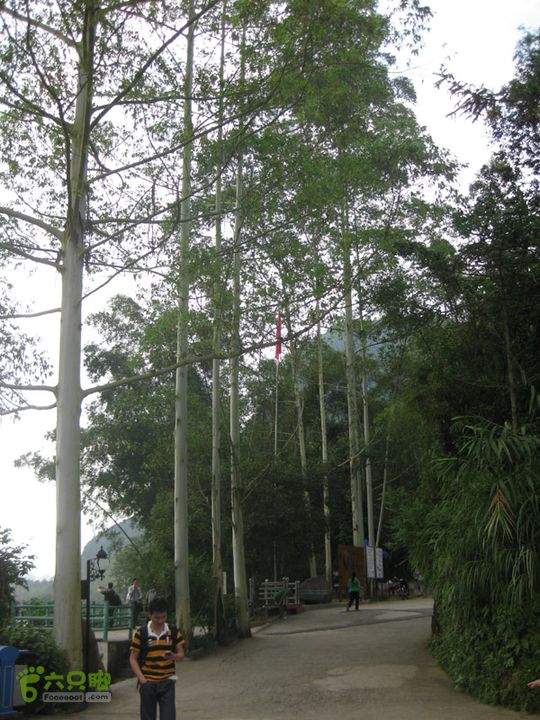 2012-9-27南宁通灵瀑布-德天瀑布IMG_0279