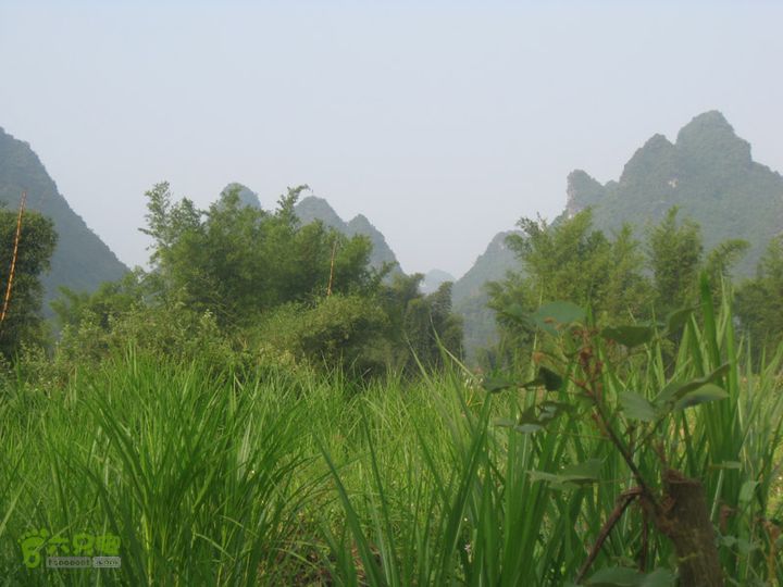 2012-9-28广西德天跨国瀑布步行IMG_0409