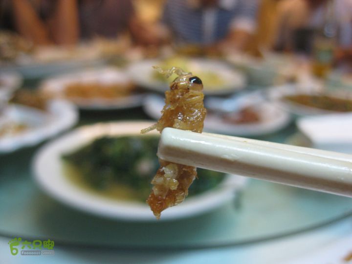 2012-9-27南宁通灵瀑布-德天瀑布IMG_0320