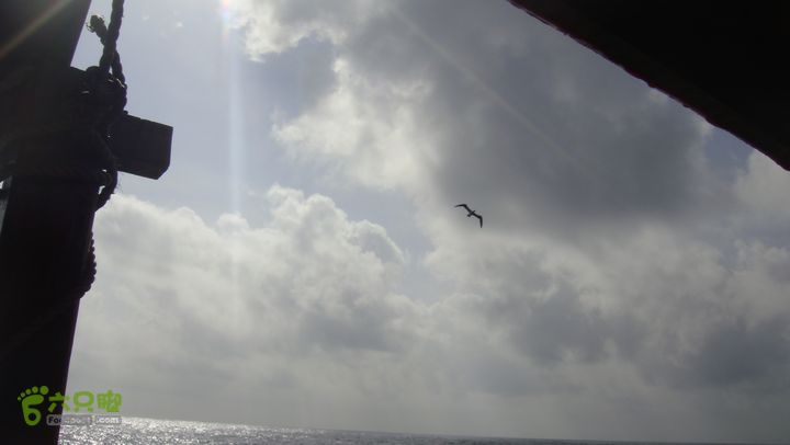 2012年西沙行1--金银岛-珊瑚岛-琛航岛DSC08536