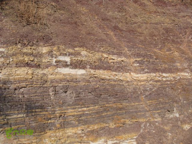 博山正觉寺 DSC08596