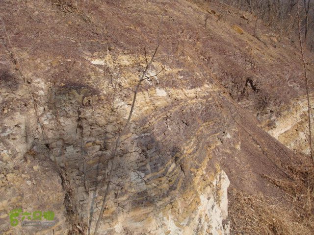 博山正觉寺 DSC08597