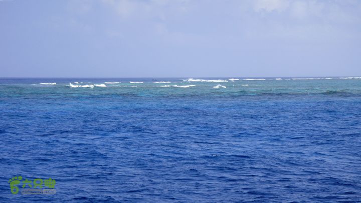 2012年西沙行1--金银岛-珊瑚岛-琛航岛DSC08564