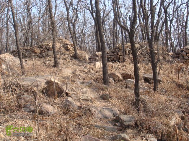 博山正觉寺 山中
