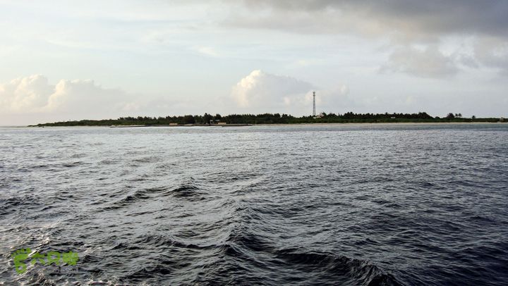 2012年西沙行1--金银岛-珊瑚岛-琛航岛DSC08688