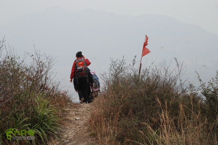 北雁荡经典之三（小龙湫 方洞 上灵岩 狮子山）狮子山顶下降