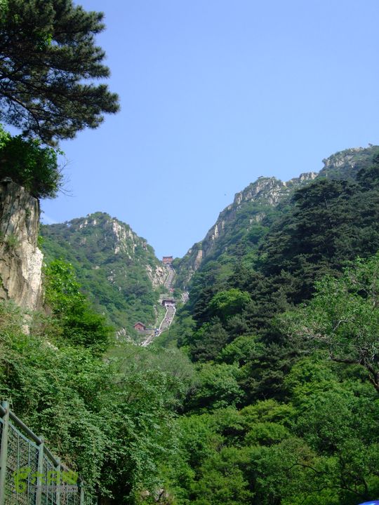 [20110604](泰山)天井湾-泰山DSCF3498