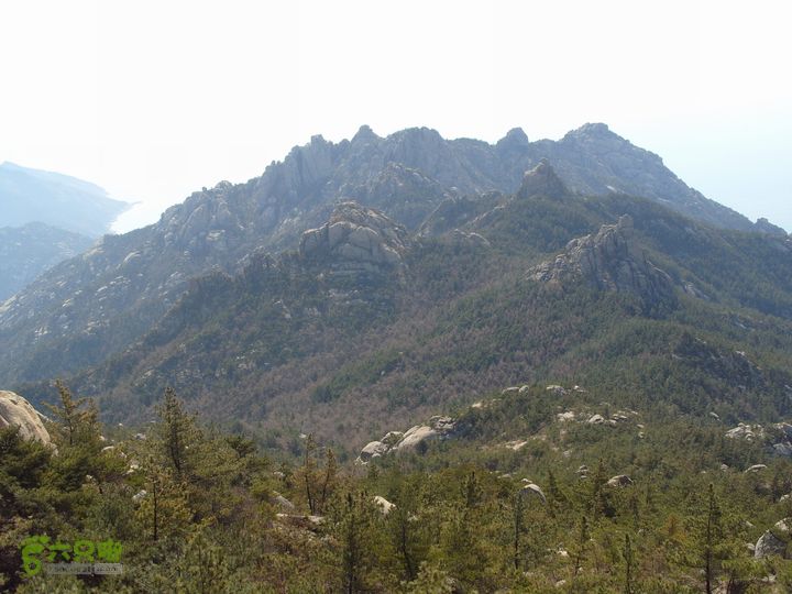 [20110405](崂山)天门涧-大流顶-天茶顶-崂顶S1050022