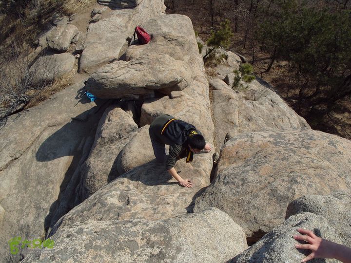 [20110405](崂山)天门涧-大流顶-天茶顶-崂顶S1050024