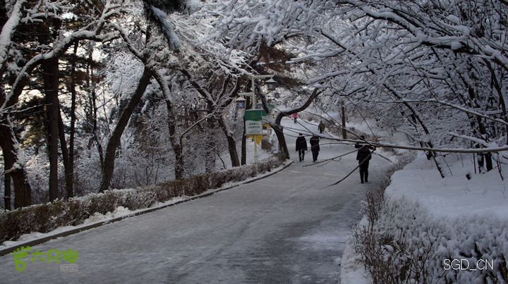 雪后龙山DSC05079