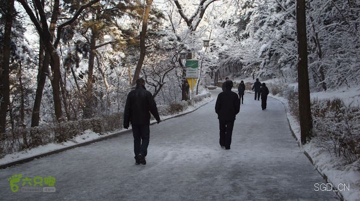 雪后龙山DSC05082