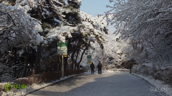 雪后龙山DSC05083