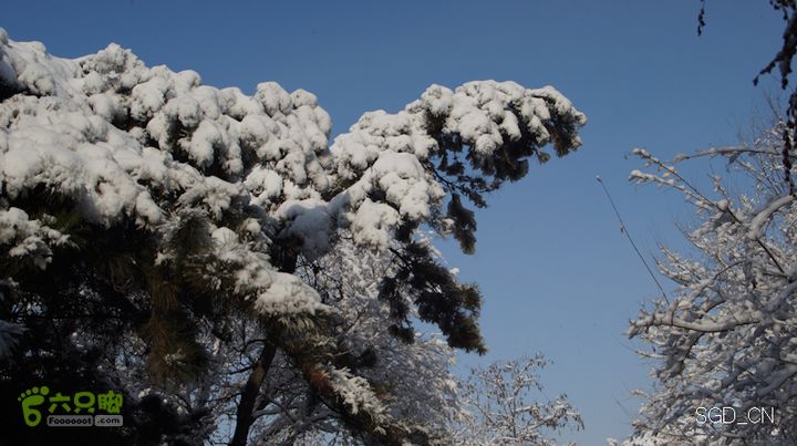 雪后龙山DSC05085