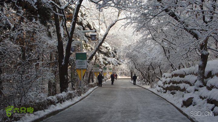 雪后龙山DSC05088