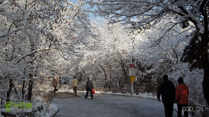 雪后龙山DSC05092