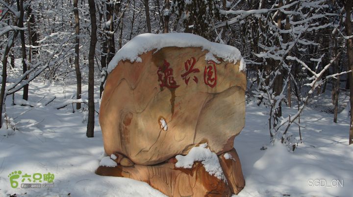 雪后龙山DSC05093