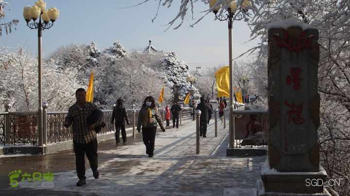 雪后龙山DSC05094