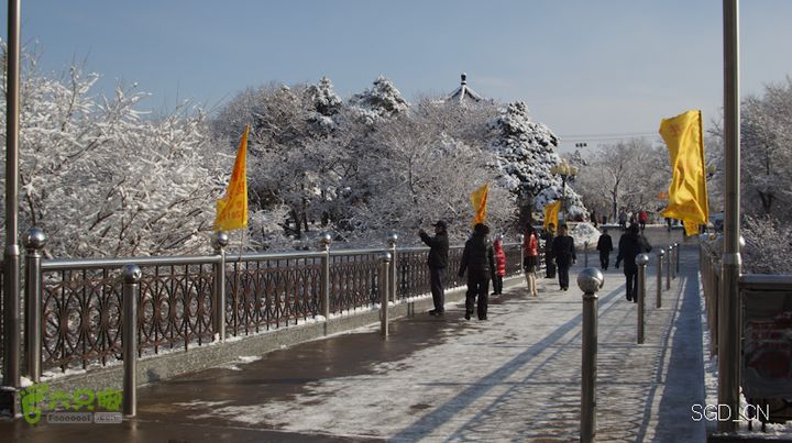 雪后龙山DSC05095