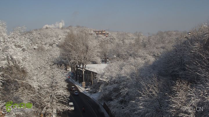 雪后龙山DSC05098