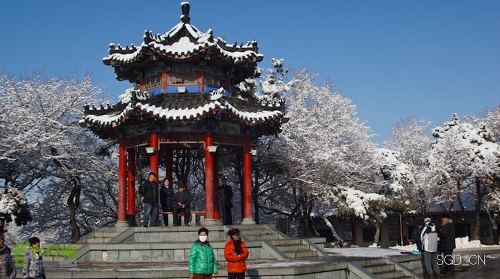 雪后龙山DSC05106