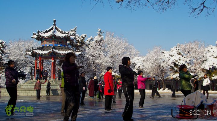 雪后龙山DSC05115