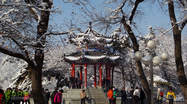 雪后龙山DSC05121