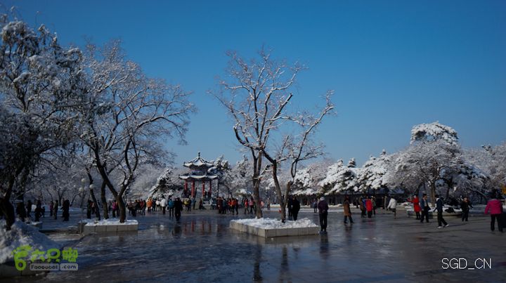 雪后龙山DSC05124