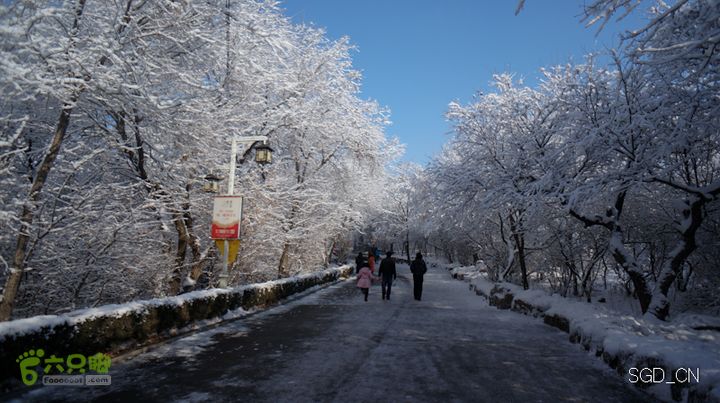 雪后龙山DSC05127