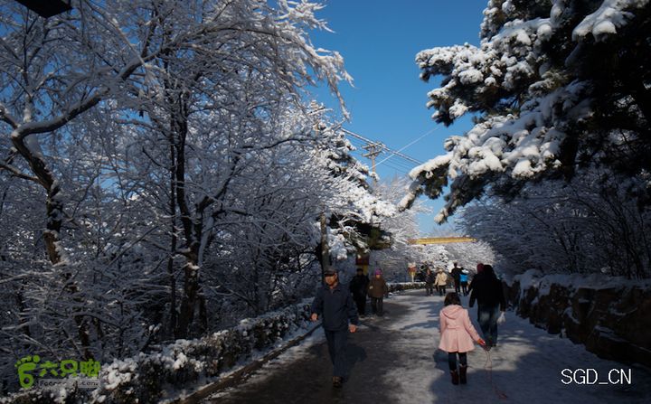 雪后龙山DSC05129