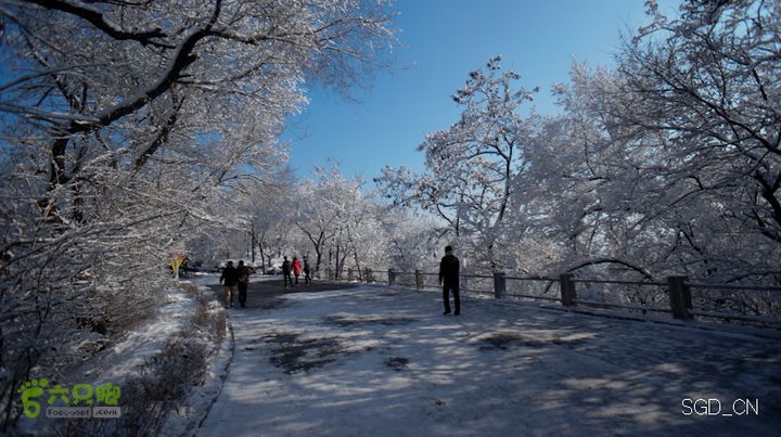 雪后龙山DSC05133