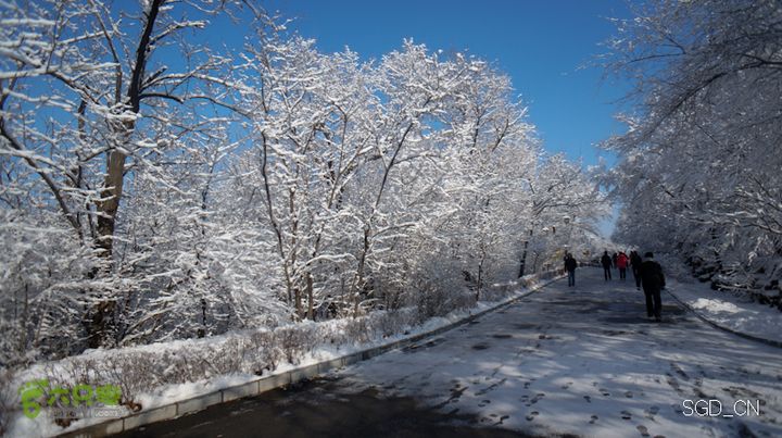 雪后龙山DSC05134